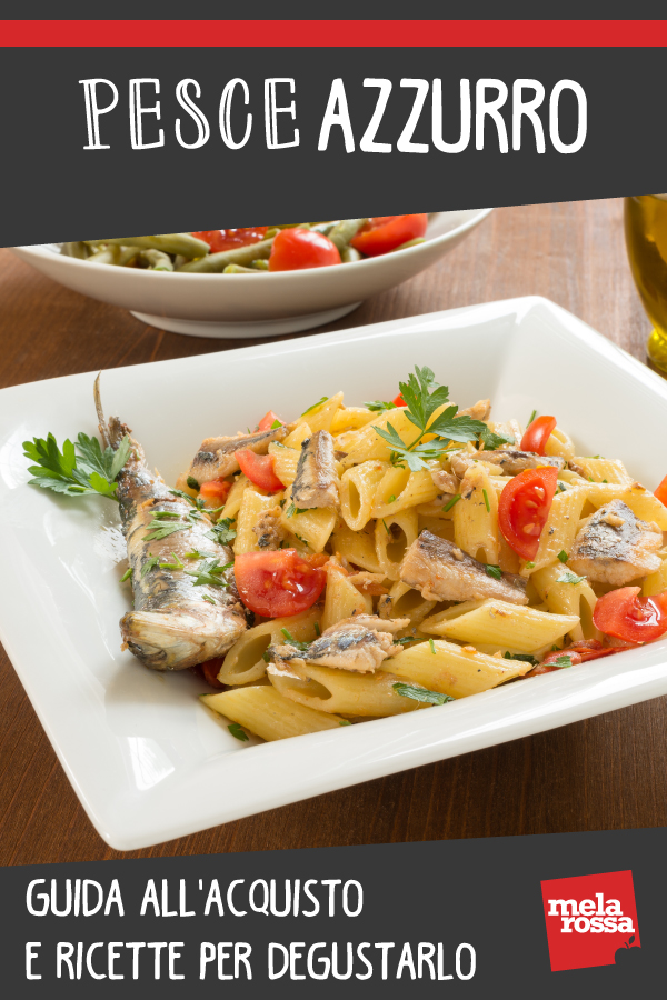 Pesce azzurro: guida all'acquisto, benefici e ricette per degustarlo 4 pesce azzurro