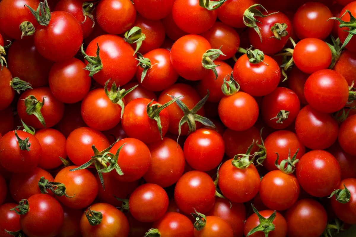 I cibi con meno di 50 calorie, perfetti per la dieta 20 pomodori