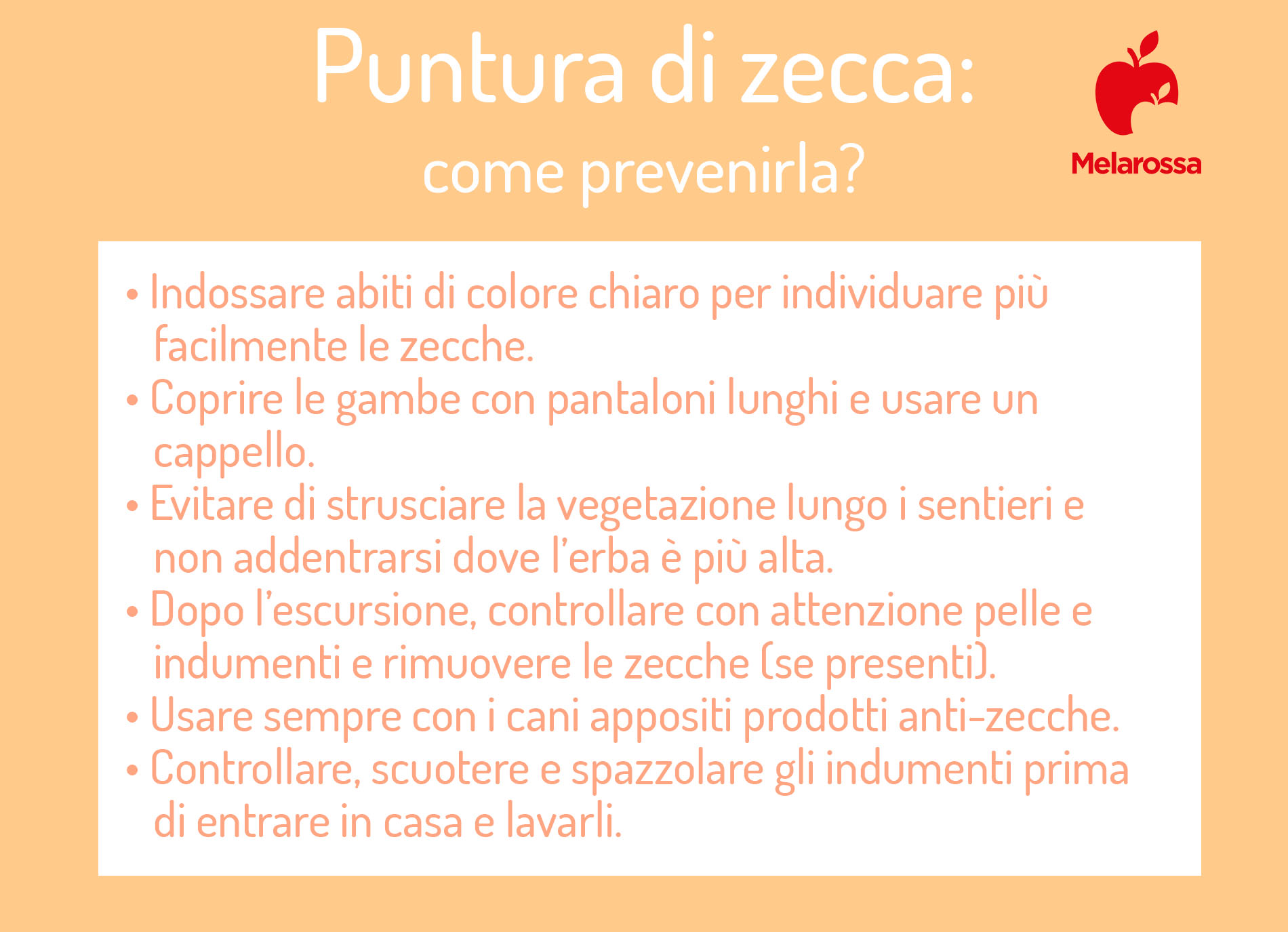 Puntura o morso di zecca: rischio, cura e prevenzione 4 Come prevenire la puntura di zecca