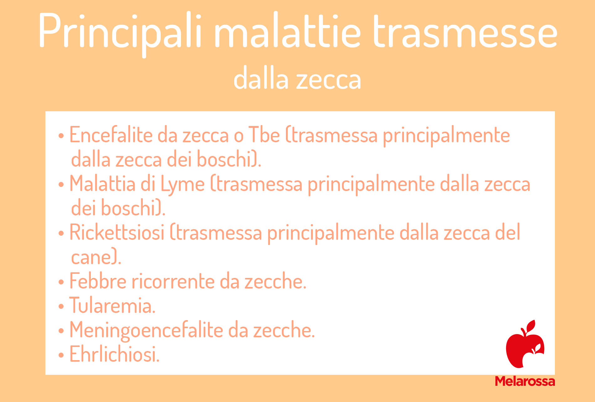 Puntura o morso di zecca: rischio, cura e prevenzione 2 Puntura di zecca: principali malattie trasmesse dalla zecca