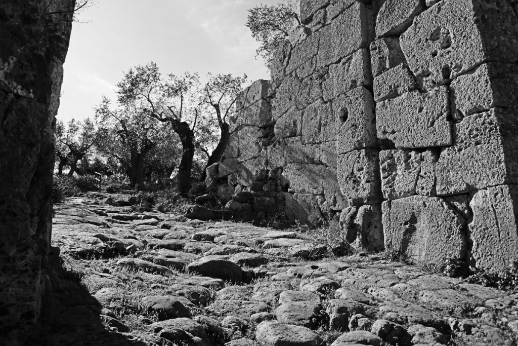Alla scoperta di Ansedonia: un mix unico di archeologia e ville di lusso 10 Ancedonia una strada di accesso a Cosa