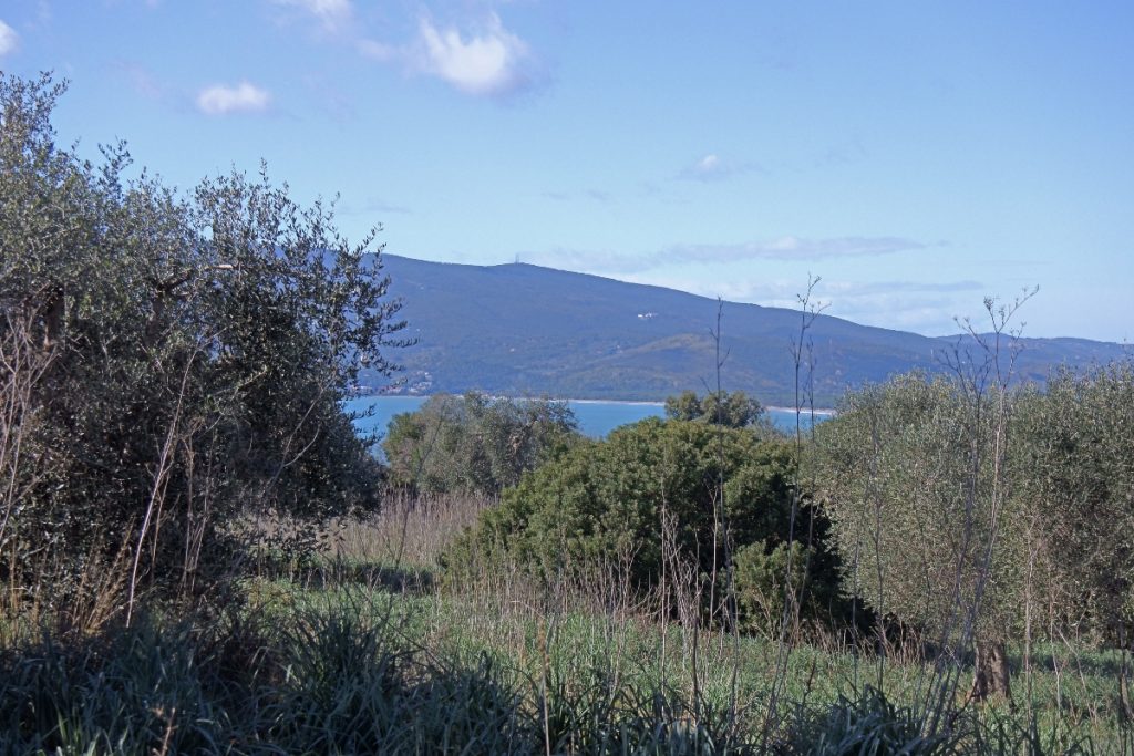 Alla scoperta di Ansedonia: un mix unico di archeologia e ville di lusso 3 Argentario dal promontorio di Ansedonia