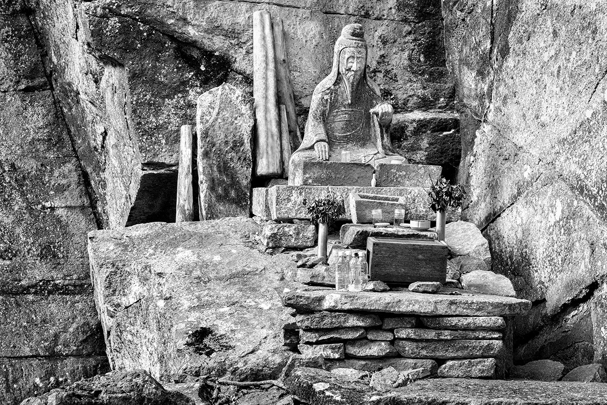 Reishi, il fungo dell’immortalità 1 Sennin ilsaggiodella montagna