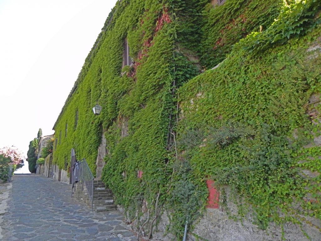 Italia estate 2020: alla scoperta di Castiglione della Pescaia, bandiera blu da sempre! 5 castiglione borgo antico 1