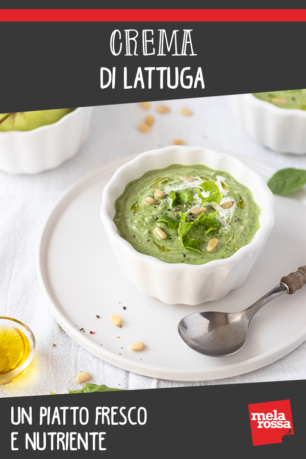 Crema di lattuga, un piatto fresco e nutriente 2 crema di lattuga