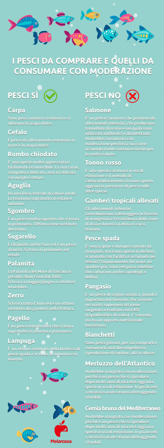Che pesci comprare? Ecco la guida all'acquisto del pesce fresco 4 Pesci: guida all'acquisto