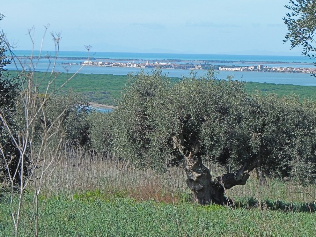 Alla scoperta di Ansedonia: un mix unico di archeologia e ville di lusso 6 laguna di Orbetello dal promontorio di Ansedonia