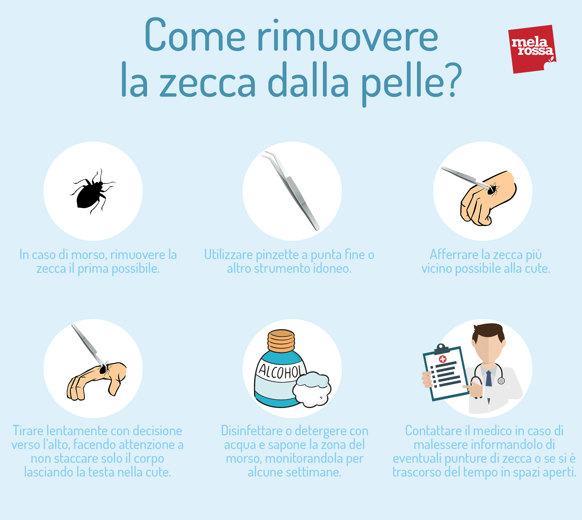 Malattia di Lyme: cos'è, cause e fattori di rischio, sintomi, diagnosi, cure e prevenzione 2 Malattia di Lyme: come rimuovere la zecca della pelle