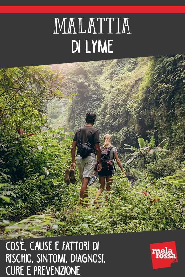 Malattia di Lyme: cos'è, cause e fattori di rischio, sintomi, diagnosi, cure e prevenzione 10 malattia di Lyme: cos'è, cause, sintomi cure e prevenzione