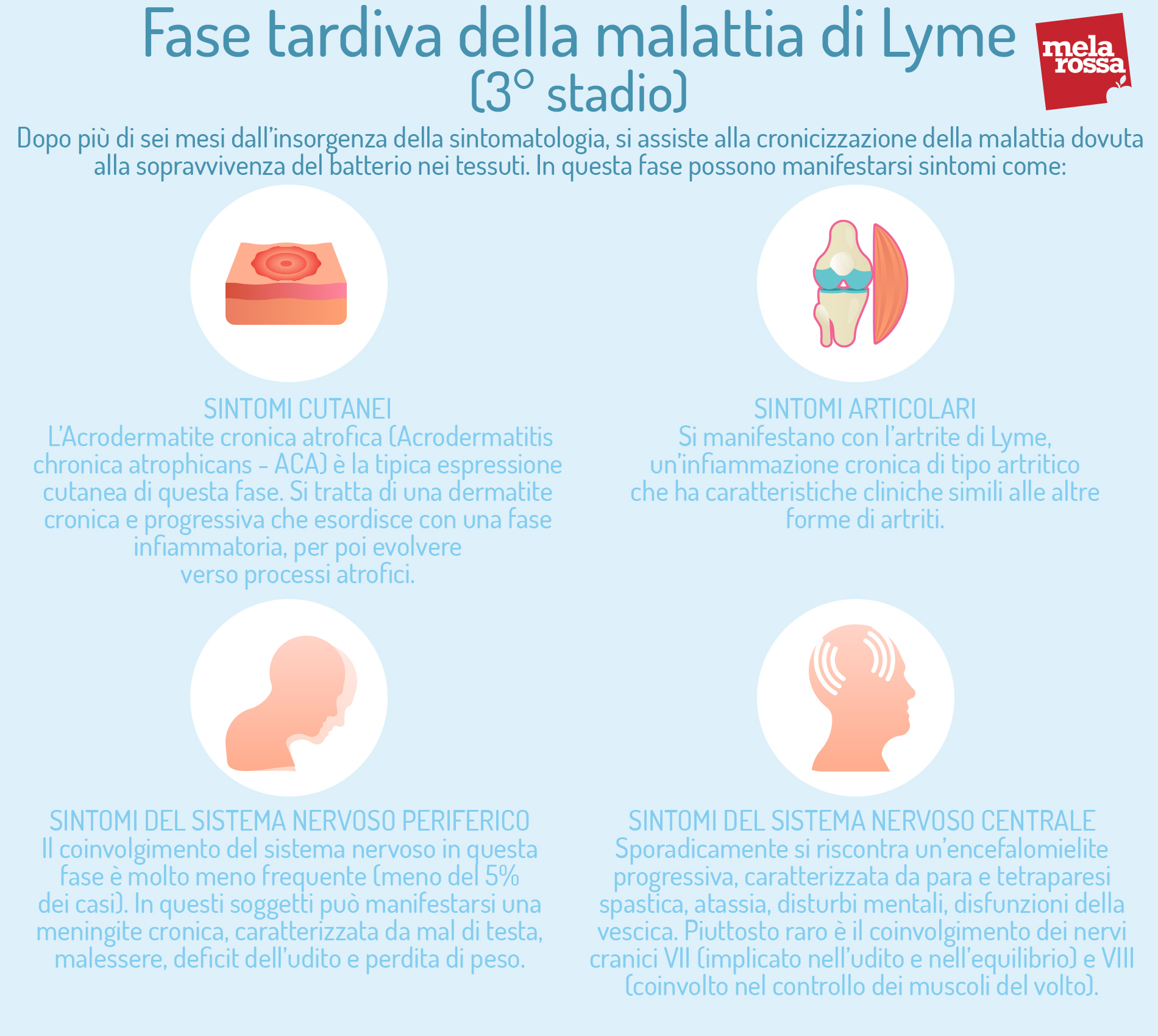 Malattia di Lyme: cos'è, cause e fattori di rischio, sintomi, diagnosi, cure e prevenzione 6 malattia di Lyme. fase tardiva