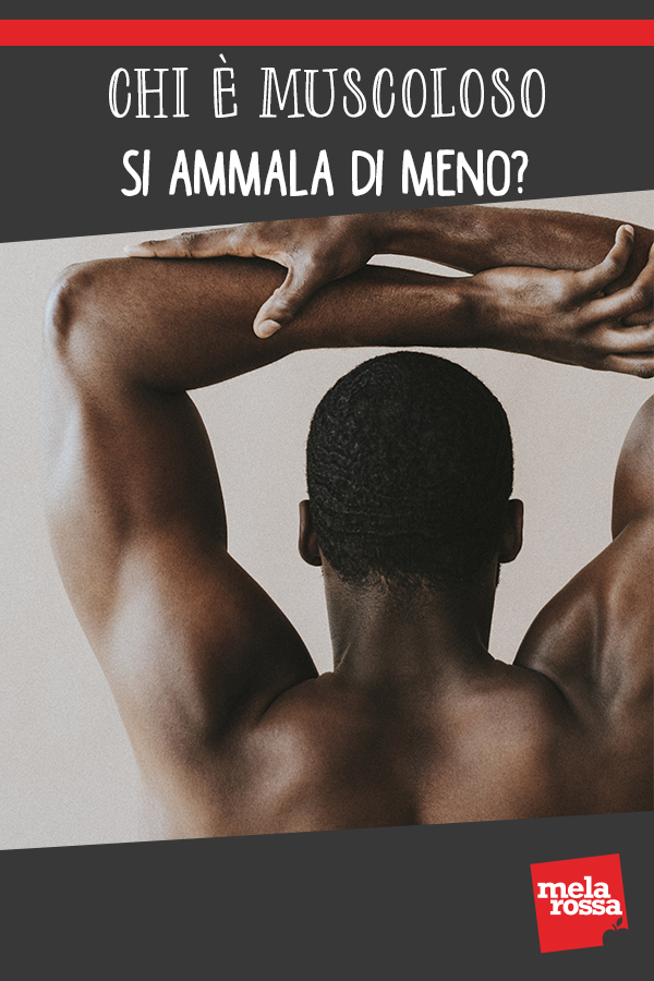 Muscoli allenati possono rafforzare il nostro sistema immunitario 2 muscoli malattia