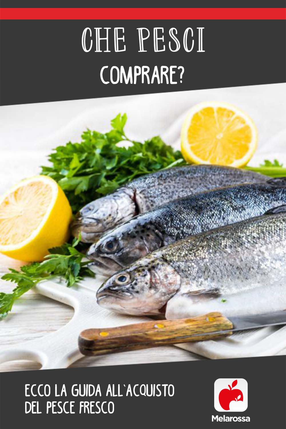 Che pesci comprare? Ecco la guida all'acquisto del pesce fresco 5 che pesci comprare