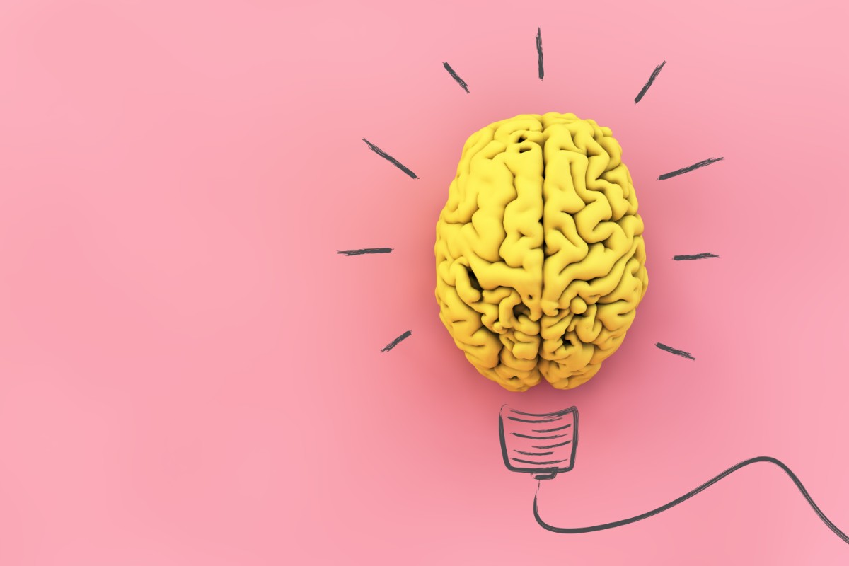 Alzheimer e Parkinson: l'invecchiamento è il principale fattore di rischio 1 che cos'è ill proteasoma