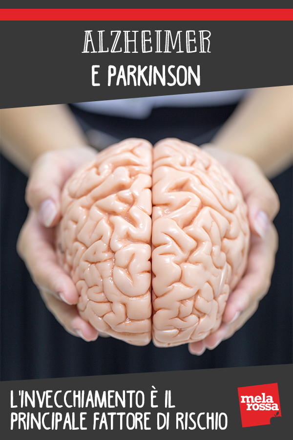 Alzheimer e Parkinson: l'invecchiamento è il principale fattore di rischio 3 proteasoma