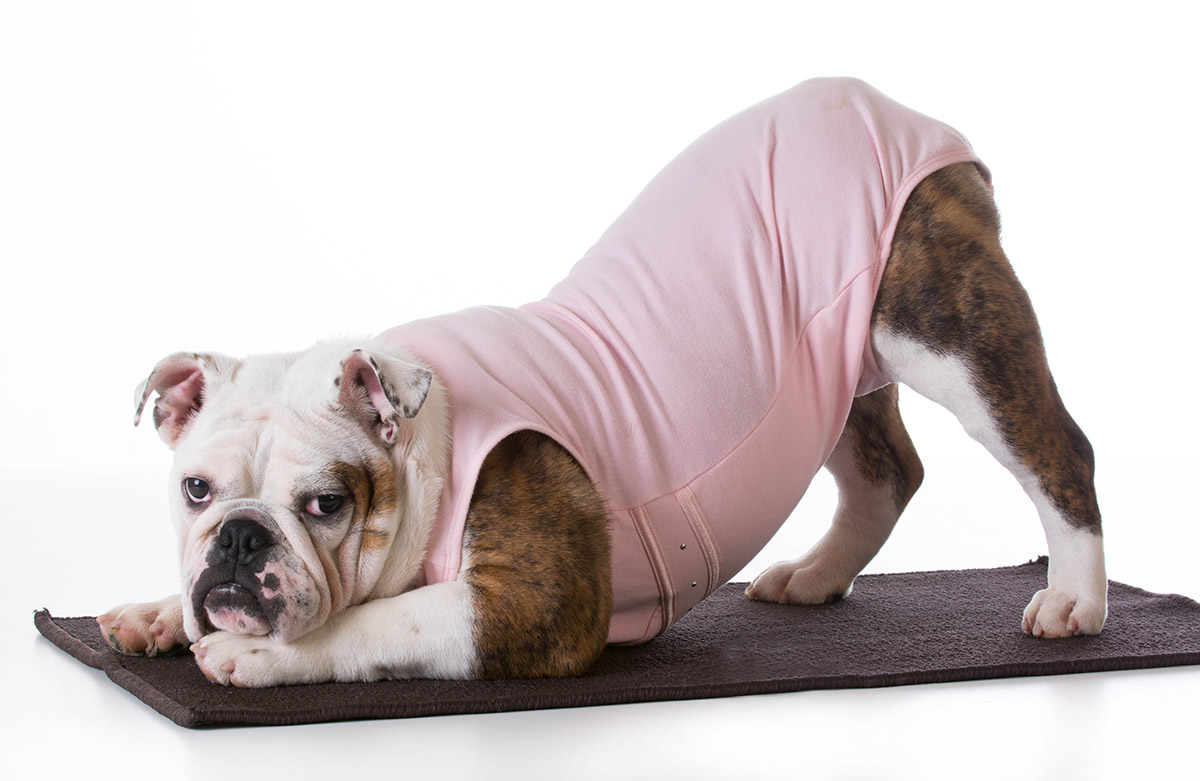 Prova costume: 10 consigli per affrontarla senza stress 1 prova-costume-senza-stress