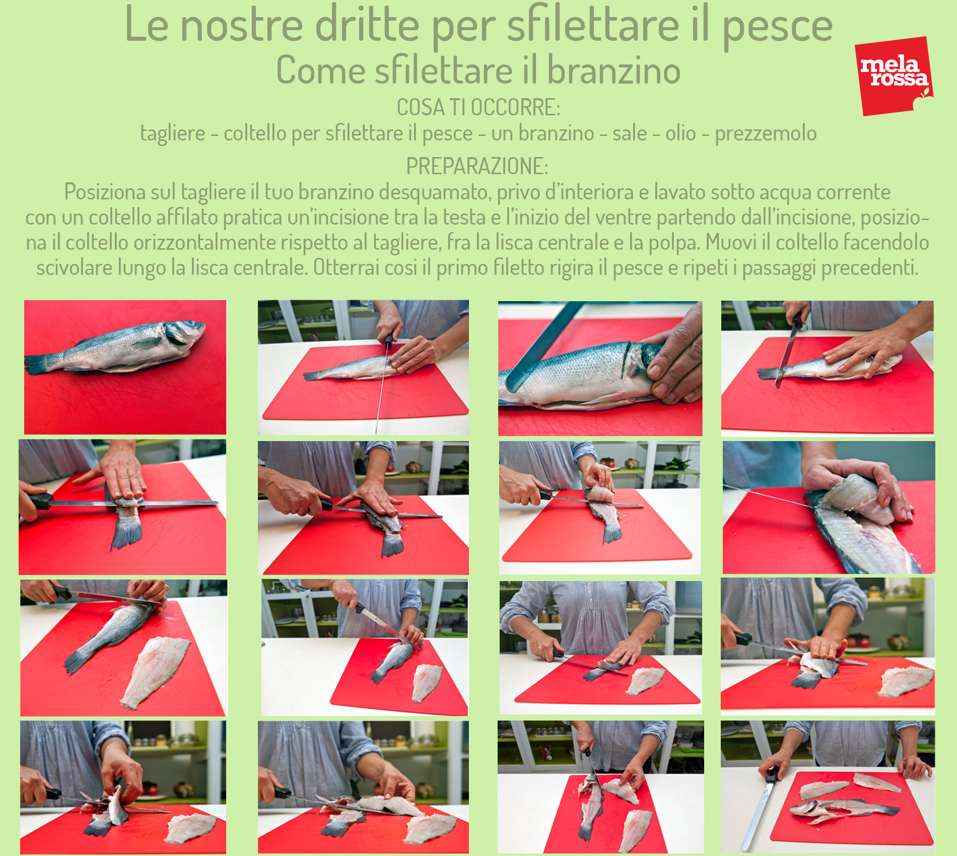 Video tutorial per sfilettare il pesce e come preparare il carpaccio e la tartare 2 Come sfilettare il pesce di branzino