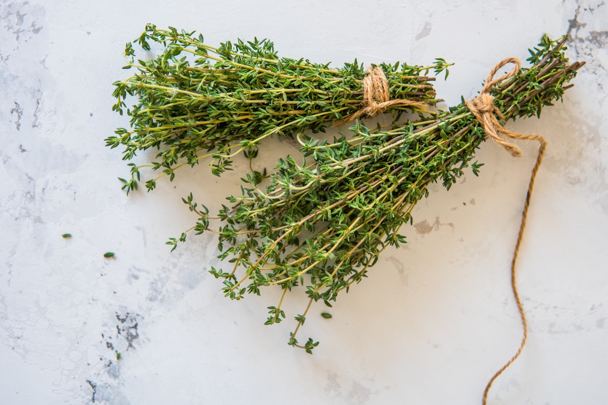 Timo: valori nutrizionali, proprietà medicinali e usi di questa pianta aromatica 4 Timo rimedio naturale