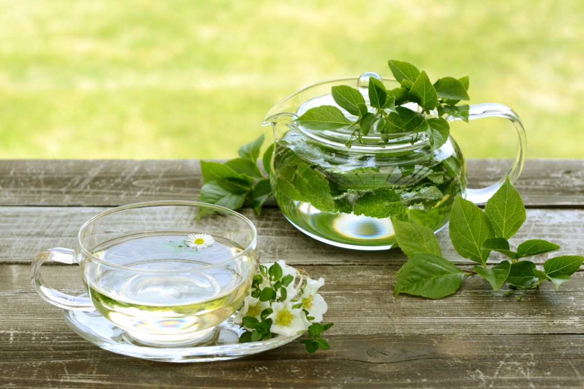 Erbe aromatiche: 10 ricette per utilizzarle al meglio 8 tisana alla menta