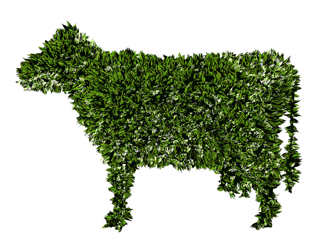 Si scatena la guerra dei burger vegetali: tutta colpa del nome 1 burger vegetale2