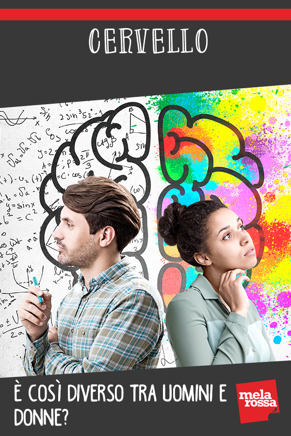 Cervello: è così diverso tra uomini e donne? 2 cervello