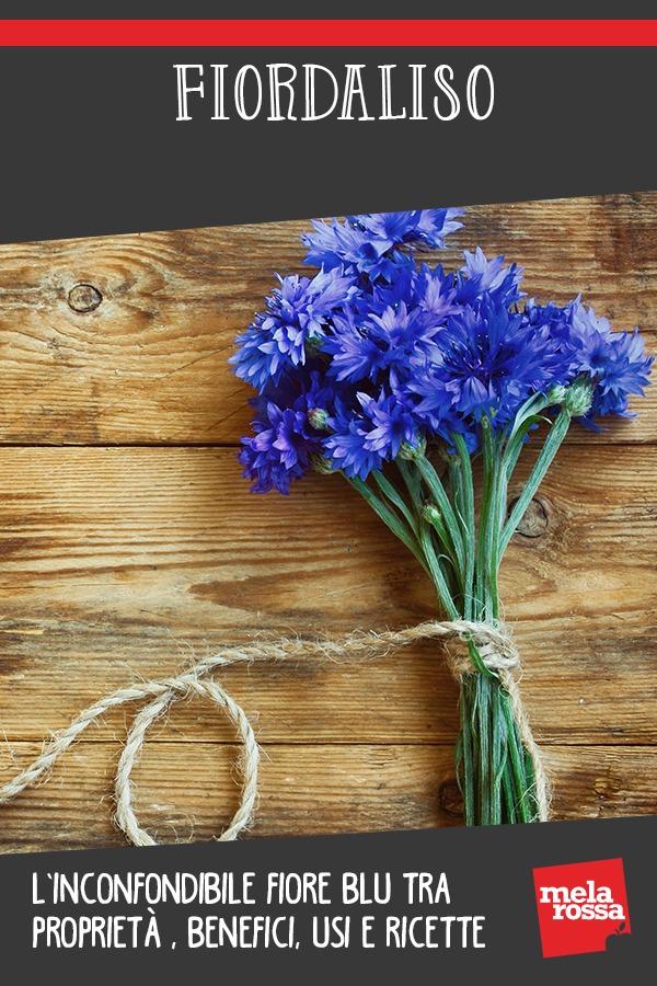 Fiordaliso: l’inconfondibile fiore blu tra proprietà, benefici, usi, ricette e magie 8 fiordaliso: benefici, ricette e la ricetta per fare l'acqua di fiordaliso in casa