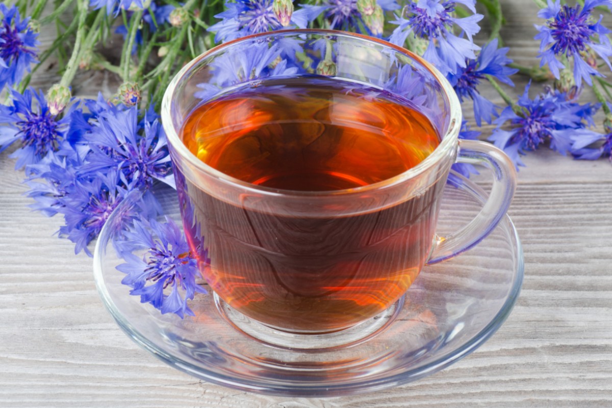 Fiordaliso: l’inconfondibile fiore blu tra proprietà, benefici, usi, ricette e magie 3 fiordaliso: tisane e impacchi