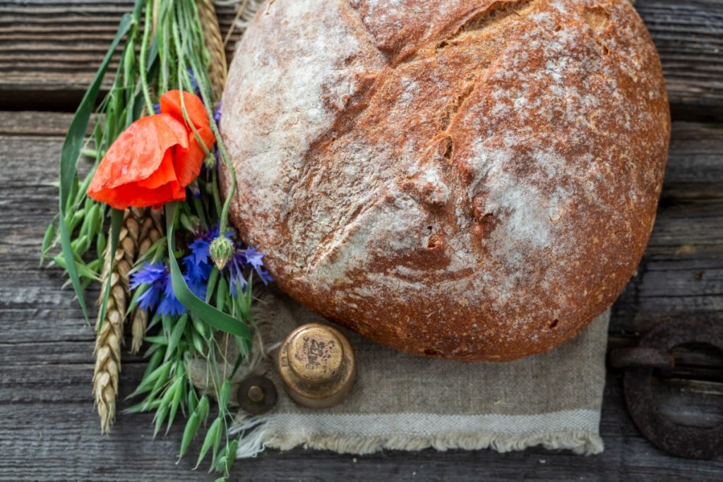 Fiordaliso: l’inconfondibile fiore blu tra proprietà, benefici, usi, ricette e magie 5 fiordaliso usi in cucina