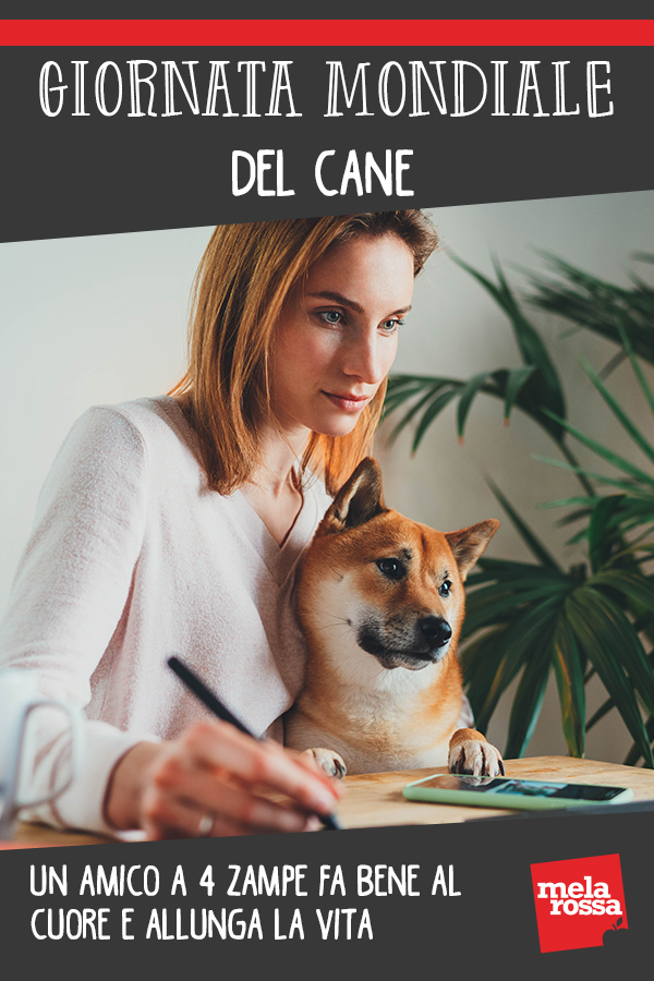 26 agosto, Giornata mondiale del cane: 8 motivi per festeggiarlo 2 giornata mondiale cane 1