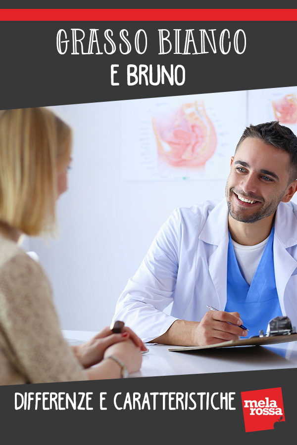 Tessuto adiposo bianco e bruno: differenze e caratteristiche 2 grasso bianco bruno