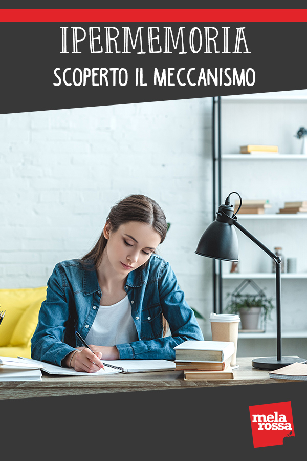 Ipermemoria: scoperto il meccanismo di chi non dimentica niente 2 iper memoria