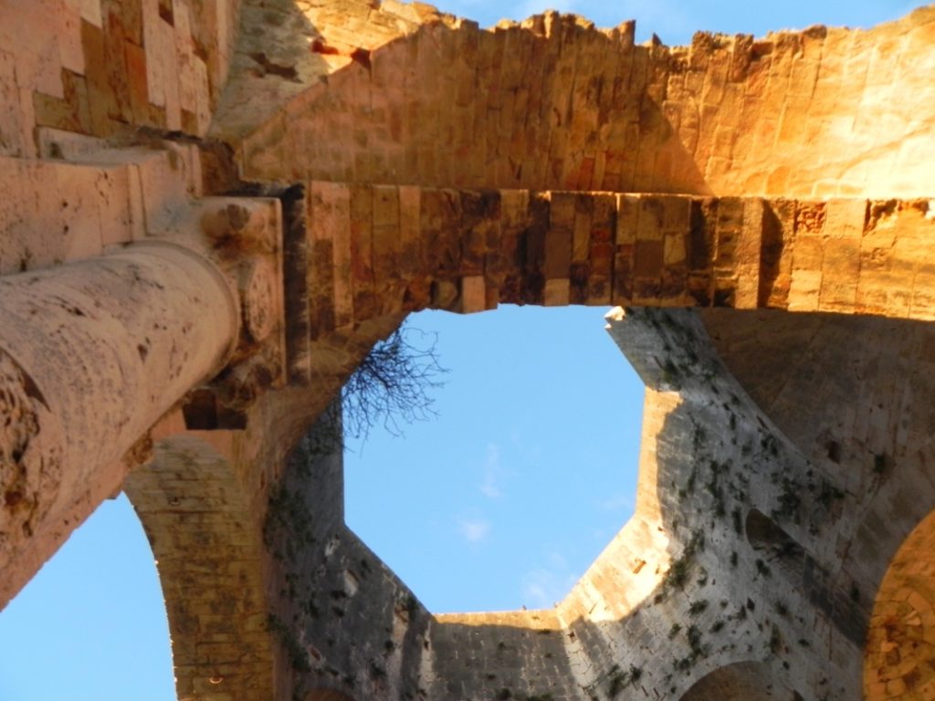 Alla scoperta di Magliano: la magia delle rovine di San Bruzio 6 magliano rovine del monastero di San Bruzio