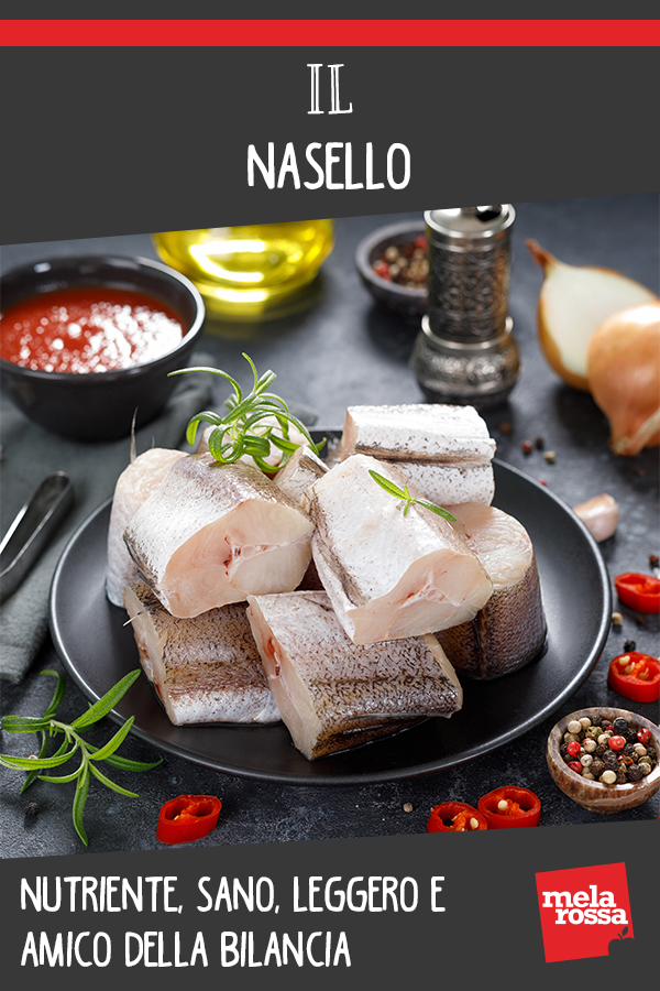 Il nasello: nutriente, sano, leggero e amico della bilancia 2 nasello