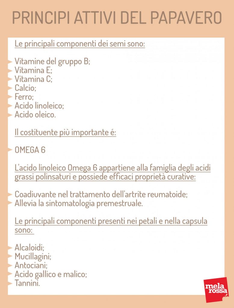 Papavero: il fiore di Monet tra proprietà, benefici, usi medicinali e usi in cucina 2 principi attivi del papavero