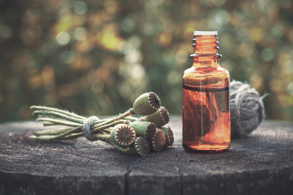 Papavero: il fiore di Monet tra proprietà, benefici, usi medicinali e usi in cucina 6 papavero: usi in medicina
