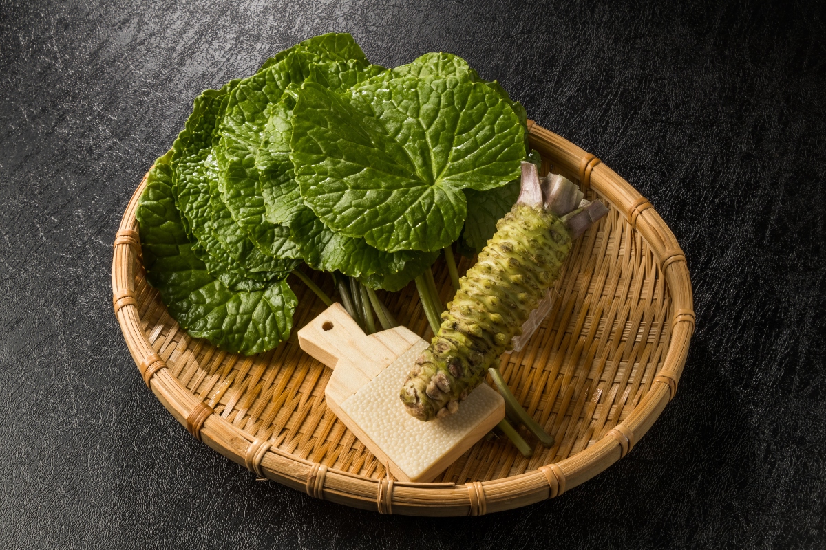 Wasabi: cos’è, cosa contiene, proprietà, benefici e usi in cucina della salsa verde giapponese 1 perché il wasabi è cosi piccante