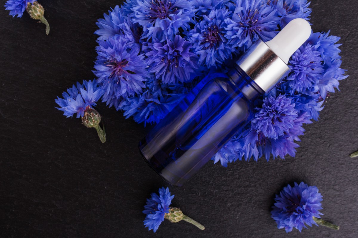 Fiordaliso: l’inconfondibile fiore blu tra proprietà, benefici, usi, ricette e magie 1 principi attivi del fiordaliso