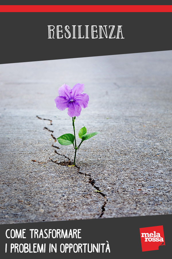 Resilienza: come trasformare i problemi in opportunità 2 resilienza