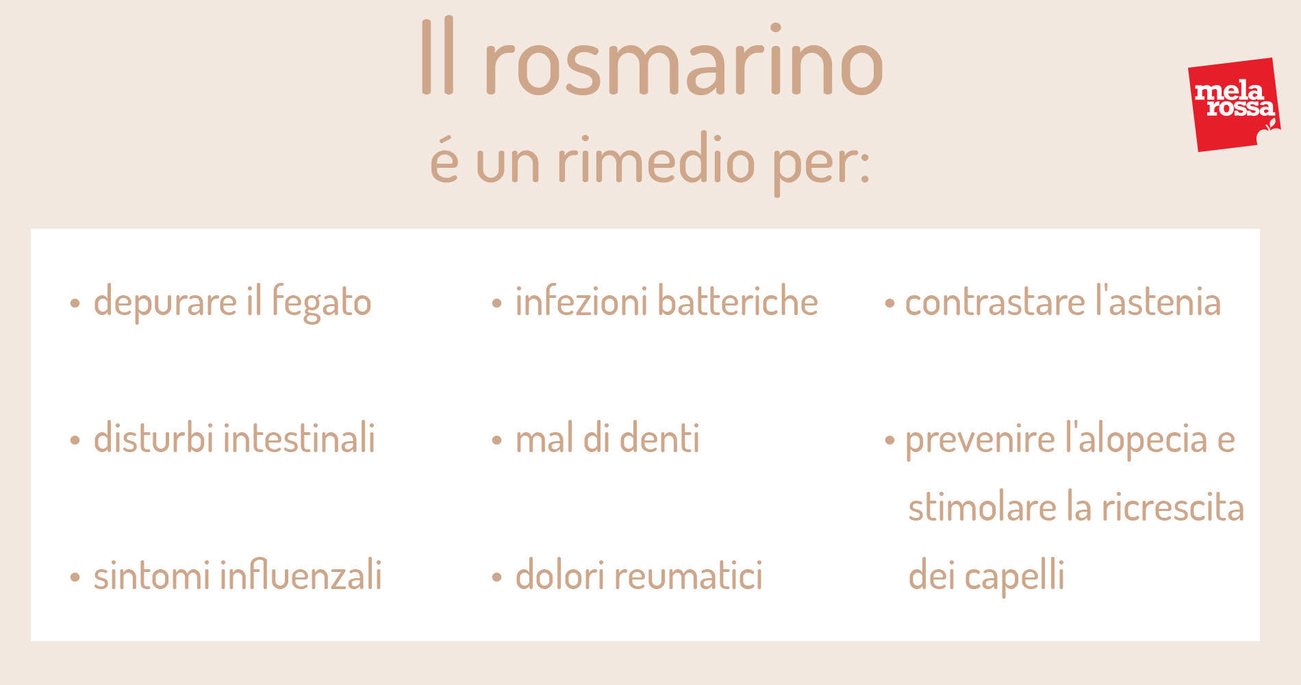 Rosmarino: cos'è, botanica, proprietà terapeutiche, benefici e usi in cucina 6 rosmarino: proprietà curative