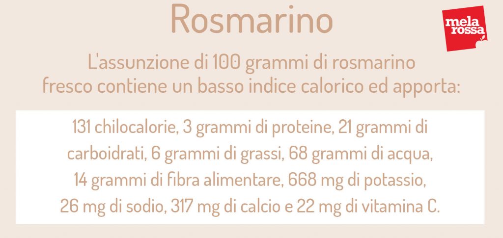Rosmarino: cos'è, botanica, proprietà terapeutiche, benefici e usi in cucina 4 rosmarino: valori nutrizionali