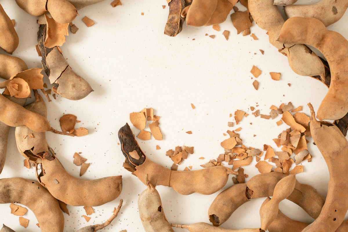 Tamarindo: cos'è, valori nutrizionali, benefici e come consumarlo 4 tamarindo: controindicazioni