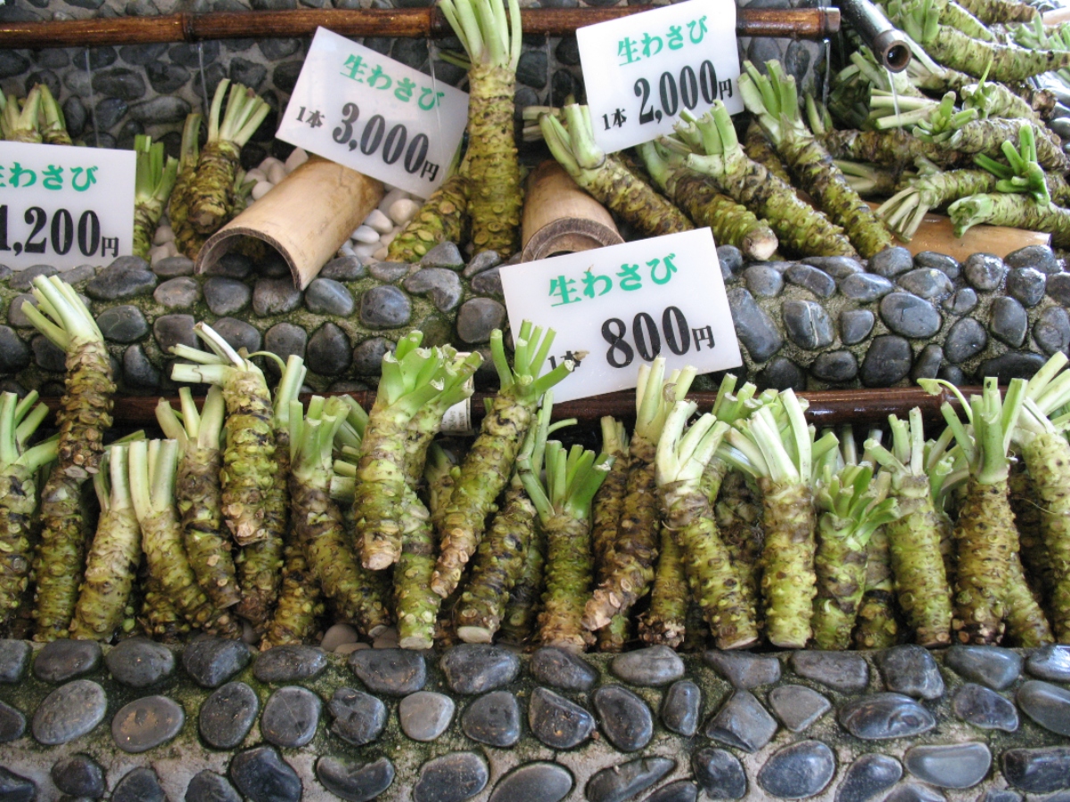 Wasabi: cos’è, cosa contiene, proprietà, benefici e usi in cucina della salsa verde giapponese 10 wasabi: cenni storici