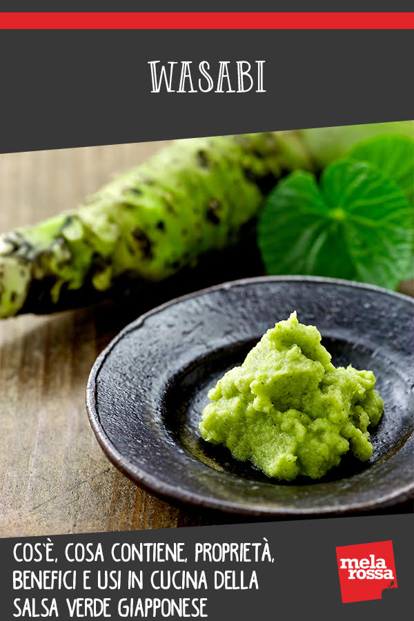 Wasabi: cos’è, cosa contiene, proprietà, benefici e usi in cucina della salsa verde giapponese 11 wasabi cos e proprieta usi in cucina 1