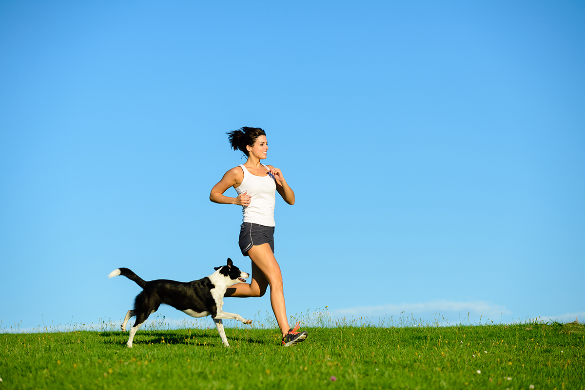 Tutti pazzi per il dog sport. Quando il nostro cane si allena con noi 1 agilitydog