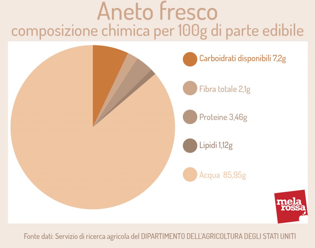 Aneto: cos’è, benefici per la salute, valori nutrizionali e ricette 1 aneto fresco: composizione chimica