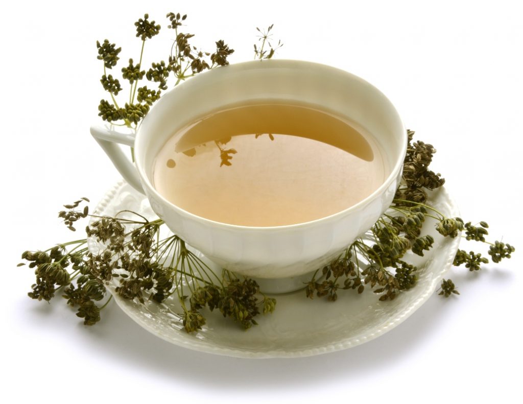 Aneto: cos’è, benefici per la salute, valori nutrizionali e ricette 6 tisana all'aneto