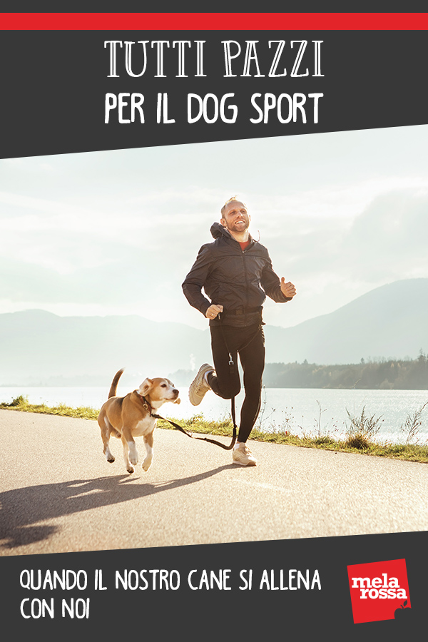 Tutti pazzi per il dog sport. Quando il nostro cane si allena con noi 2 dog sport 1