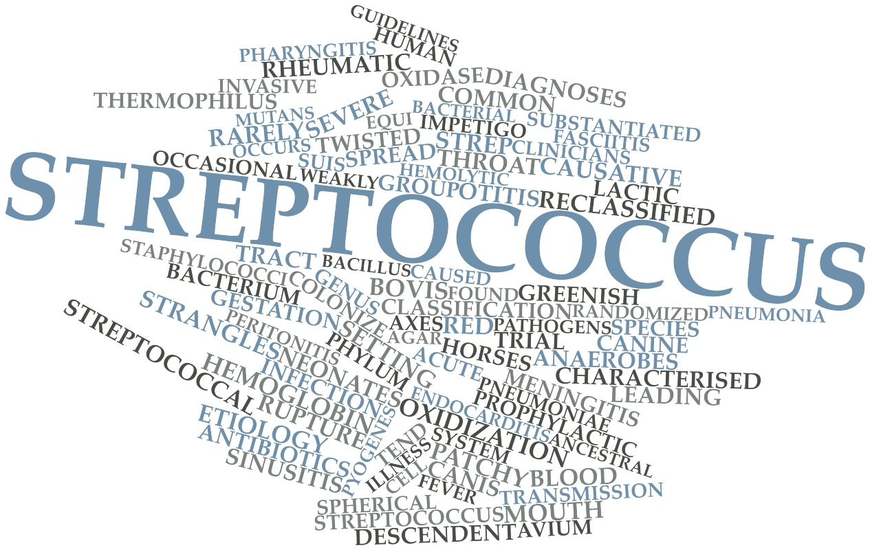 Impetigine: cos'è, cause, sintomi e cure 1 Impetigine: cos'è