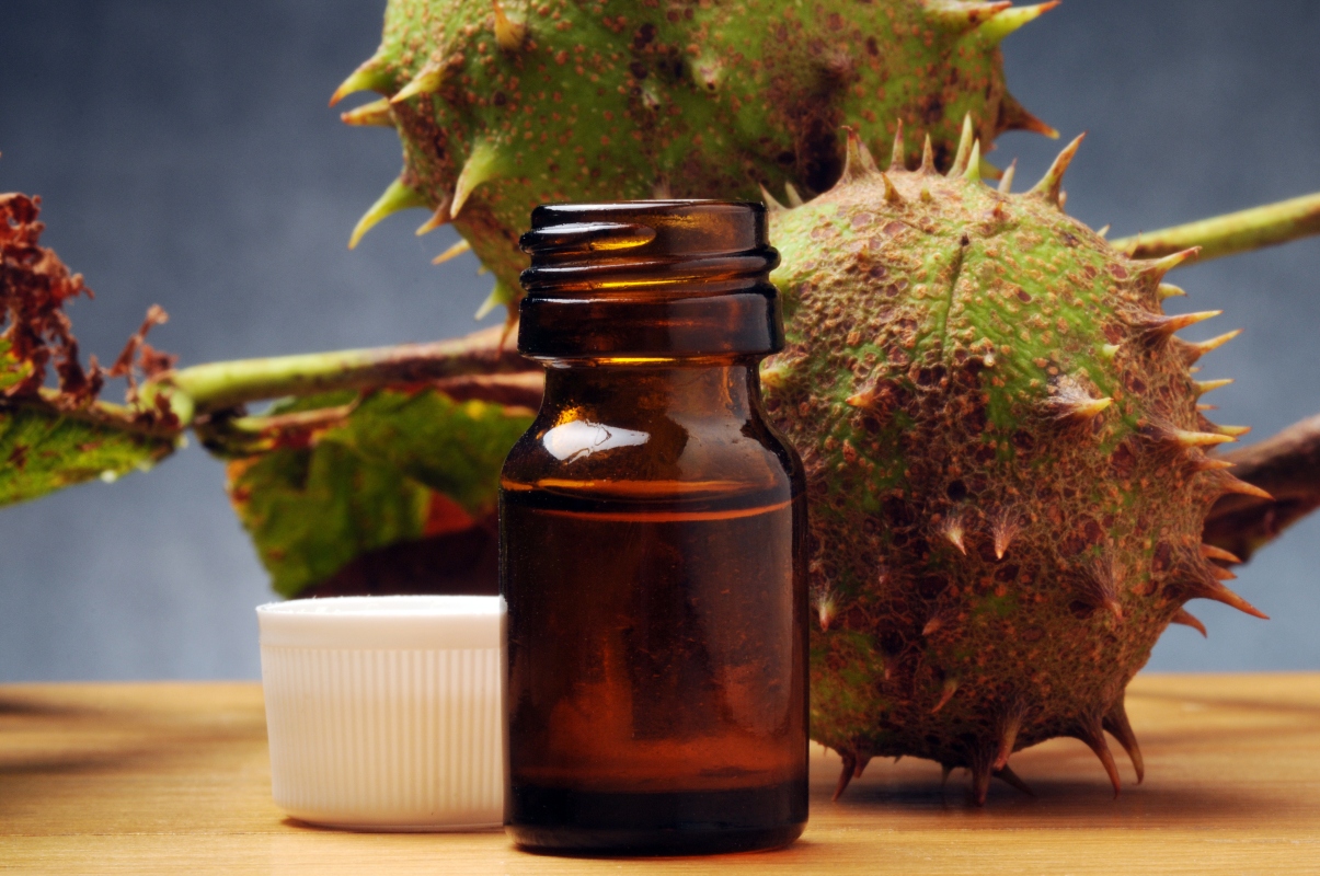 Ippocastano: proprietà, benefici, usi e botanica 2 una boccetta con tintura madre di ippocastano e due frutti accanto