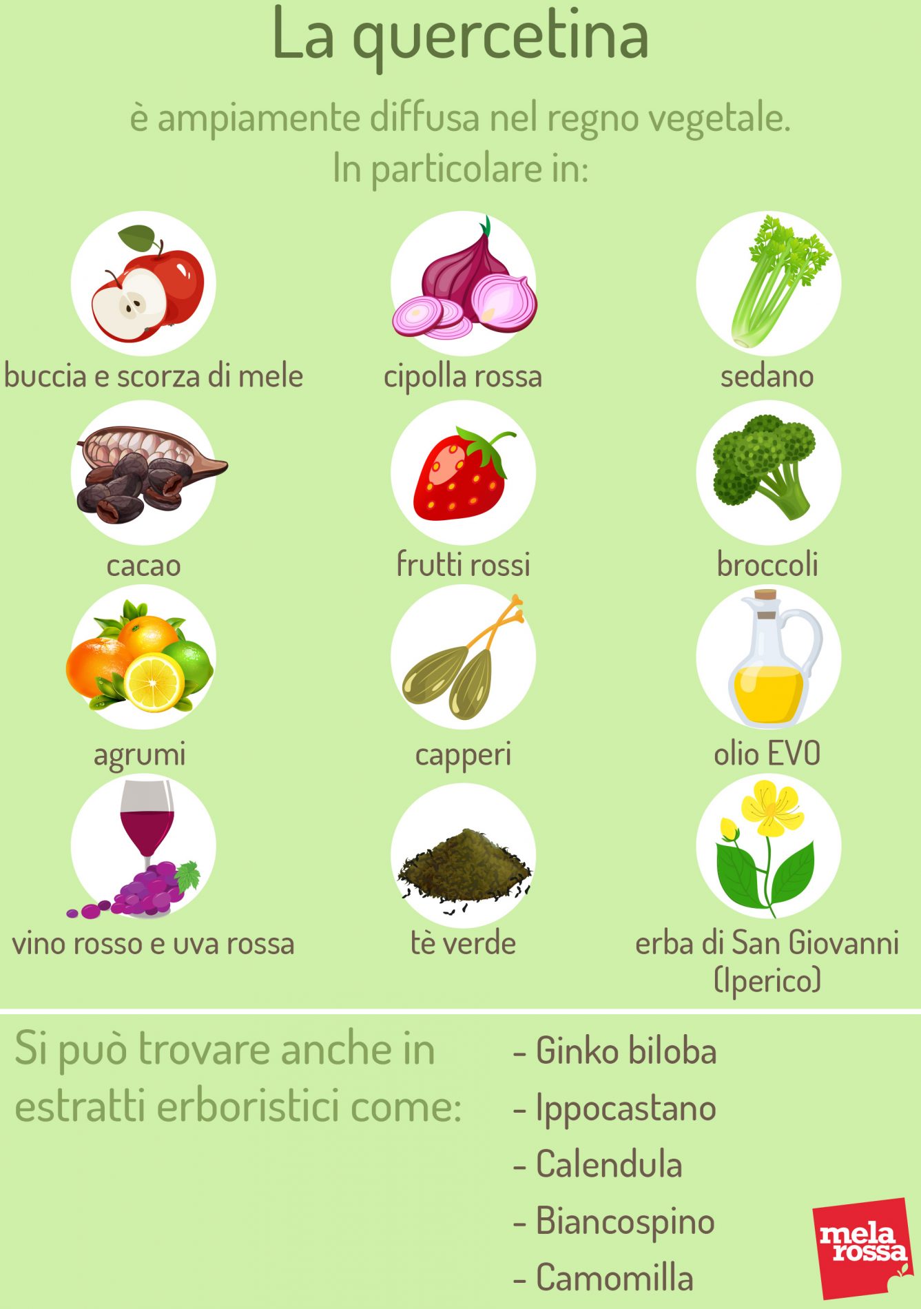 Dalla natura un aiuto contro il Covid19: la quercitina 2 quercetina alimenti 1