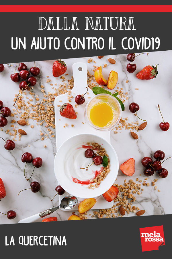 Dalla natura un aiuto contro il Covid19: la quercitina 3 quercetina covid